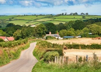 3-Day Circle of relatives Itinerary for Exploring Devon’s Easiest Bits