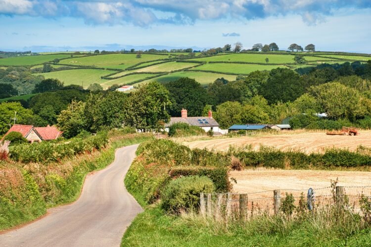 3-Day Circle of relatives Itinerary for Exploring Devon’s Easiest Bits