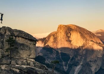 Protection Wing Evaluate (Up to date 2025)