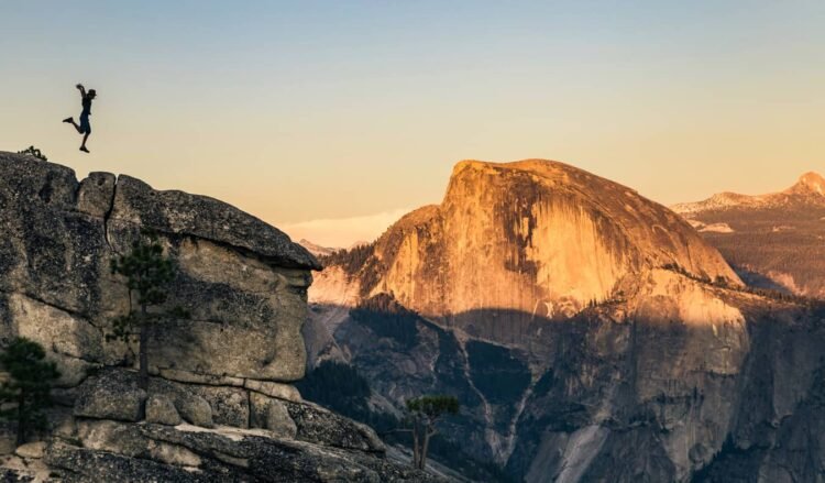 Protection Wing Evaluate (Up to date 2025)