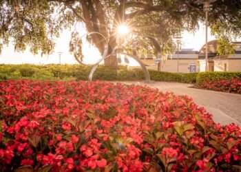 Disney International Extends Recent Lodge Refurbishment & Building to 2026