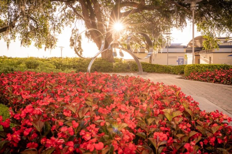 Disney International Extends Recent Lodge Refurbishment & Building to 2026