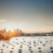 Crucial Tools for Lengthy-Time period Outside Residing in Australia
