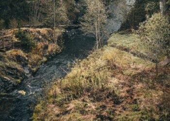 River Crossing from Brazzaville to Kinshasa – How To Steer clear of Getting Scammed