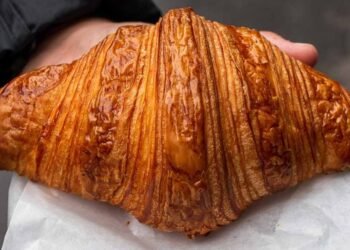 The whole lot You Wish to Devour