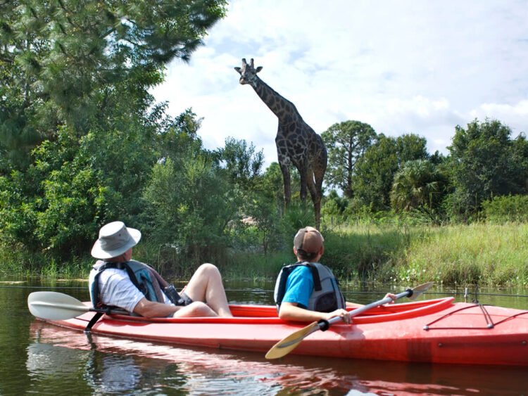 ‘Travelport+’ cuts Seek Instances by means of 23% Serving to Brokers Paintings More uncomplicated, Smarter, and Quicker