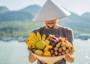 Tourism Enlargement in Vietnam Marks Considerable Restoration