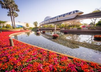 Check Observe Rejoins Experience Rosters for Further Hours