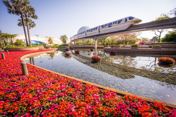 Check Observe Rejoins Experience Rosters for Further Hours