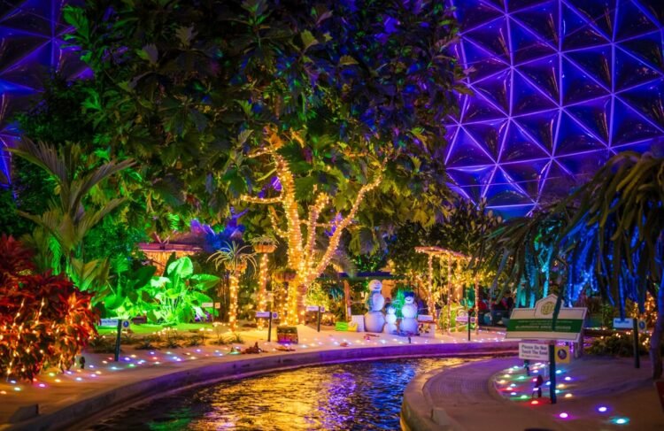 2025 Christmas at Disney International Dates & Main points: What is New, Returning & Lacking