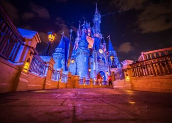 Why Summer time is the New Low Crowds Season at Disney International
