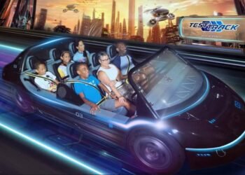 Take a look at Observe Cushy Opens to ALL Visitors!