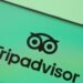 Investor grabs 9% of “undervalued” Tripadvisor Staff
