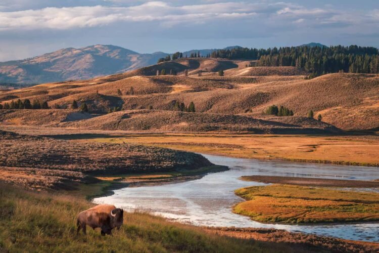 26 Perfect Nationwide Parks to Discuss with in the United States (Our Favourites After 15 Years of Commute)