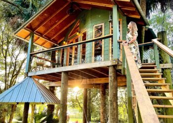 Keep In A Treehouse In Orlando! – The Go back and forth Chunk