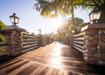 Nature “Reclaims” Rivers of The usa as Disney International Drains Waterway for Demolition