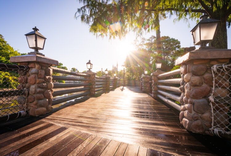 Nature “Reclaims” Rivers of The usa as Disney International Drains Waterway for Demolition