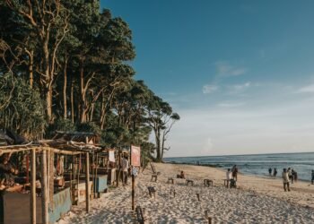 Why Andaman is Best possible for a Seashore Vacation in India?