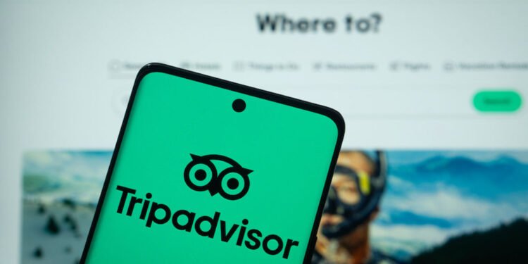 Viator sees income and reserving quantity positive factors in Q2 2025