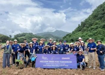 SAii Motels & Motels provides the Inexperienced Button to its cell app