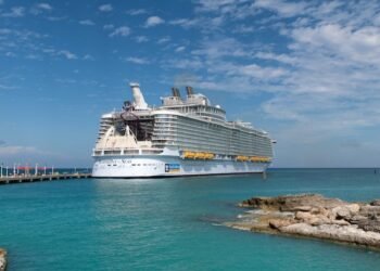 Royal Caribbean CEO opens up on AI use