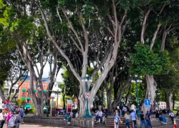 Why Puebla is the Easiest Town to Be told Spanish in Mexico