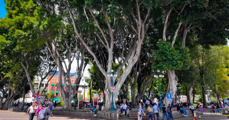 Why Puebla is the Easiest Town to Be told Spanish in Mexico