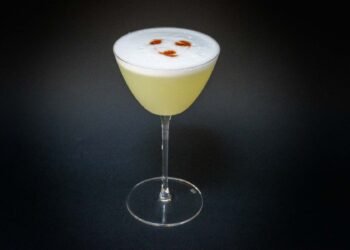 Pisco Bitter Cocktail – Frothy & Implausible