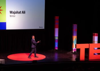 Input to Win the Expensive Democracy Sweepstakes