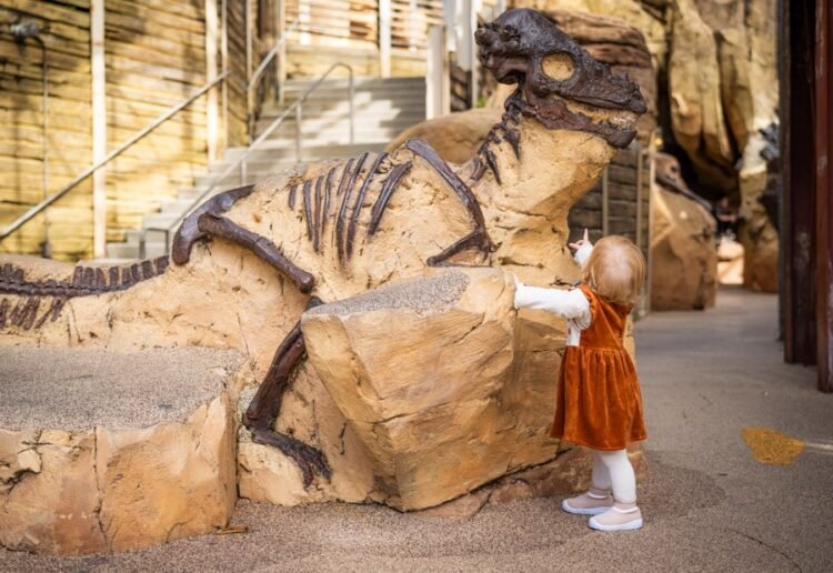 Boneyard at Disney International Completely Closes Early & New Tropical Americas Children House