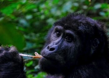 Suppose In a different way About Your Subsequent Travels