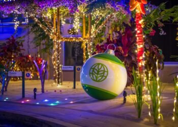 Disney Global Stocks Adjustments for Christmas 2025 at EPCOT