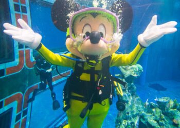 Disney Springs’ 11: Florida Scuba Guy Escapes After $20,000 Heist
