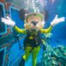 Disney Springs’ 11: Florida Scuba Guy Escapes After $20,000 Heist