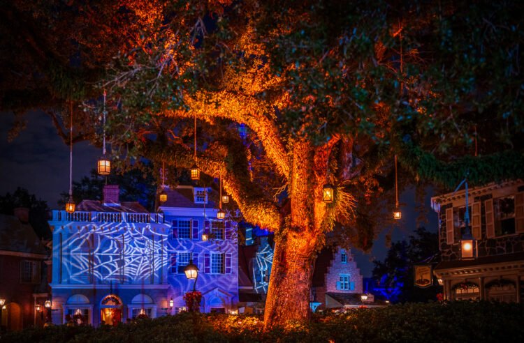 Overview: Absolute best Magic Kingdom Meal for Halloween!