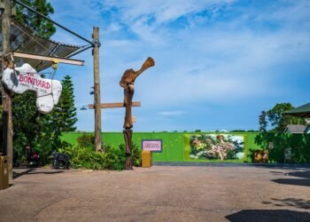 I Used to be Unsuitable About Disney’s Animal Kingdom.