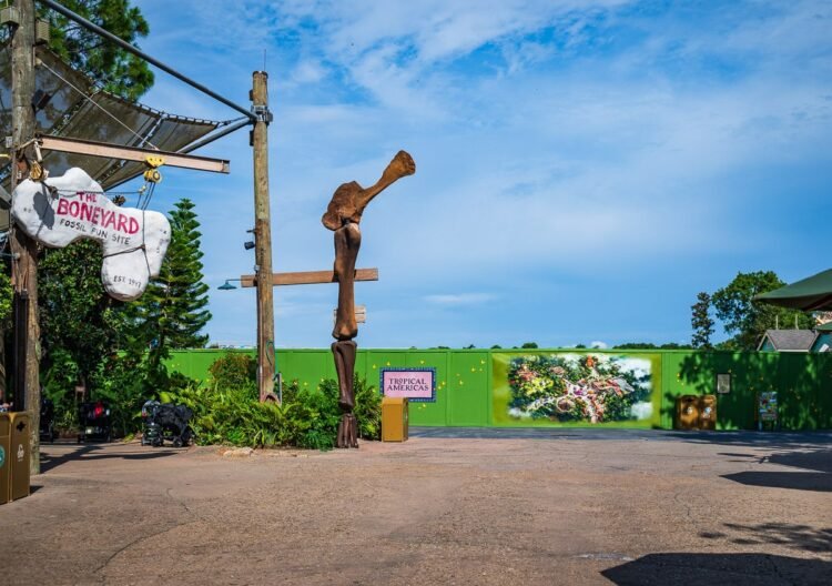 I Used to be Unsuitable About Disney’s Animal Kingdom.