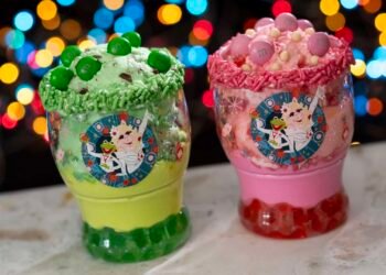 Meals Information for 2025 Disney Jollywood Nights Christmas Birthday party
