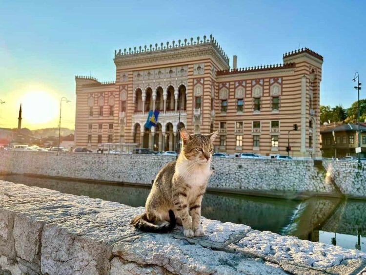 3-Day Sarajevo Itinerary: Tradition, Historical past, Nature