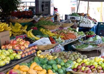 Fruit in Mexico you will have by no means heard of