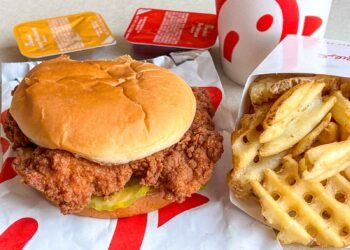 14 Nice Speedy Meals Chains