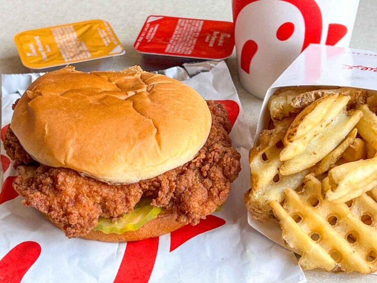 14 Nice Speedy Meals Chains