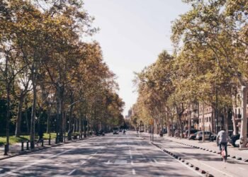 Autumn Dishes in Barcelona: 7 Will have to-Check out Native Favorites