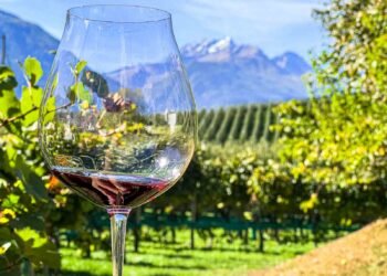 This Italian Area Is a Hidden Gem for It is Fabulous Wine and Epic Surroundings