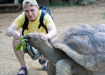 Out of control Tourism: Stricter Laws Are Essential at the Galapagos