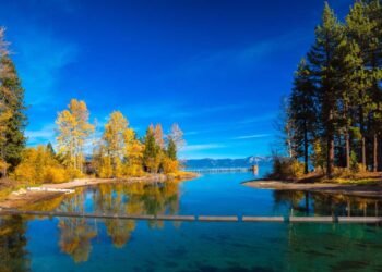 19 Very best Puts to Consult with in November in the US (2025 Version)