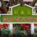 Disney Global Extends Vacation Hours at Magic Kingdom, Animal Kingdom & Hollywood Studios