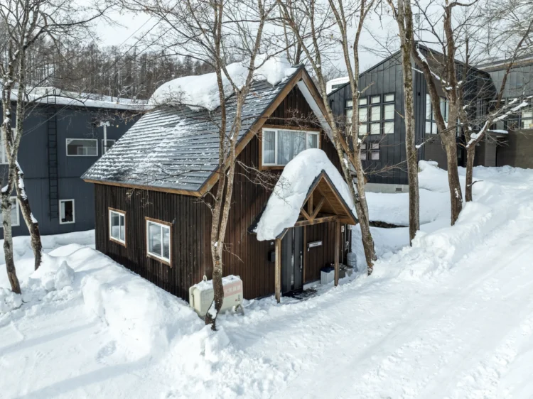 Elite Havens invitations travellers to e-book in Niseko prior to the ski season rush