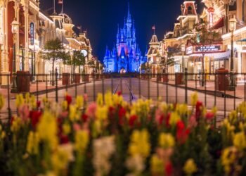 Prolonged Night time Hours Go back to Magic Kingdom in 2026