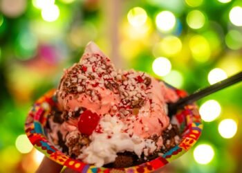 Meals Information to 2025 Mickey’s Very Merry Christmas Celebration & Vacation Season at Magic Kingdom